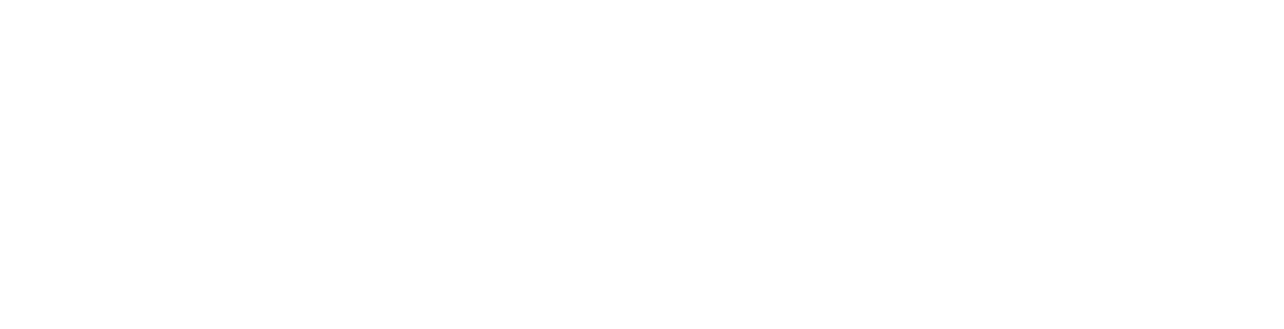logo-laivo-w